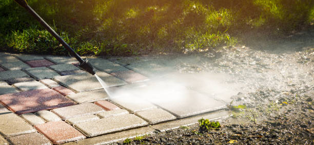 Best Animal Enclosure Cleaning  in Port Arthur, TX